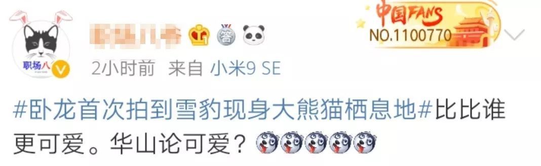 雪豹遇上大熊猫？网友：这是“华山论可爱”