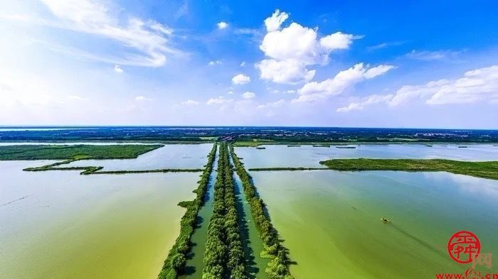 15秒短视频与《三泉溪暖》一起登上山东卫视