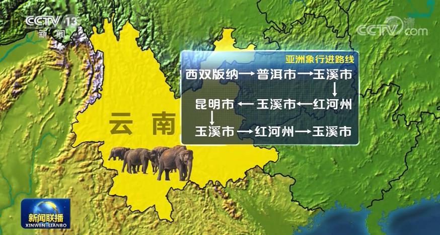 行程1300多公里 野生亚洲象接近传统栖息地