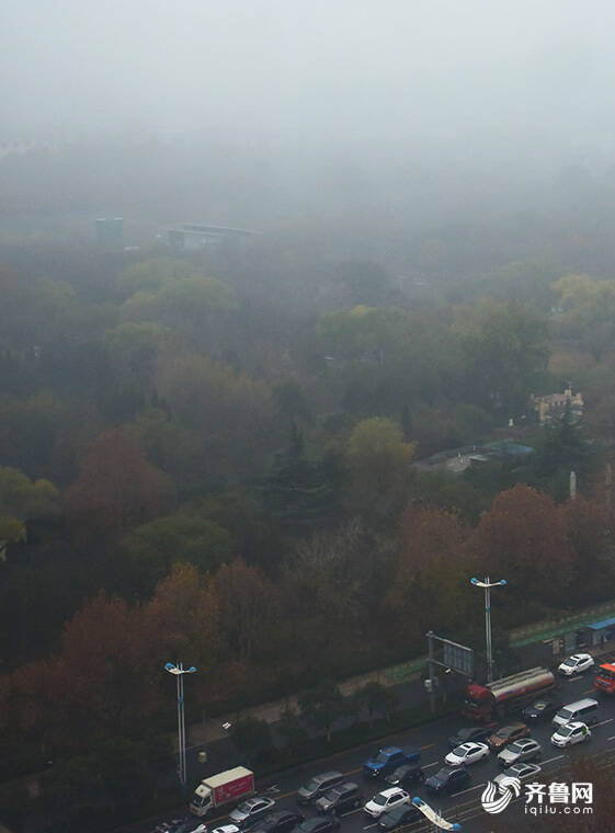 雾“锁”泉城！山东发布大雾黄色预警信号 8地出现浓雾天气