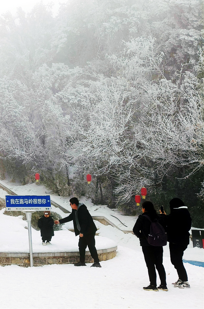 宛若仙境！大雾里看雾凇，亦真亦幻让人沉醉