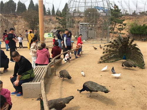 潍坊市完成废弃矿山恢复治理139处，面积1.27万亩