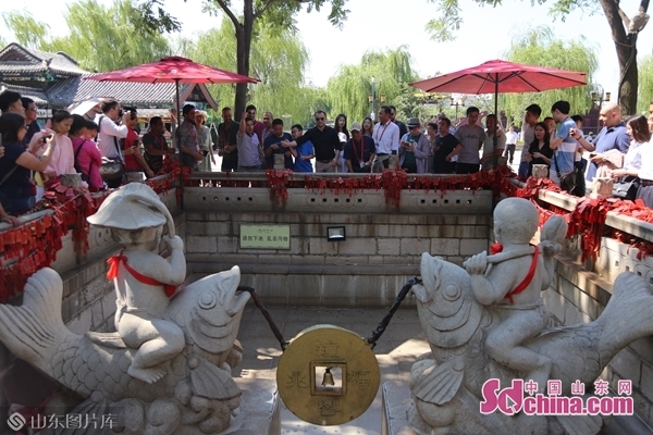 向世界讲好山东故事 外媒记者探寻大明湖畔的夏雨荷