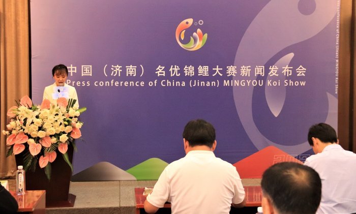 首届中国（济南）名优锦鲤大赛将于10月15日举行，身价百万名贵锦鲤亮相