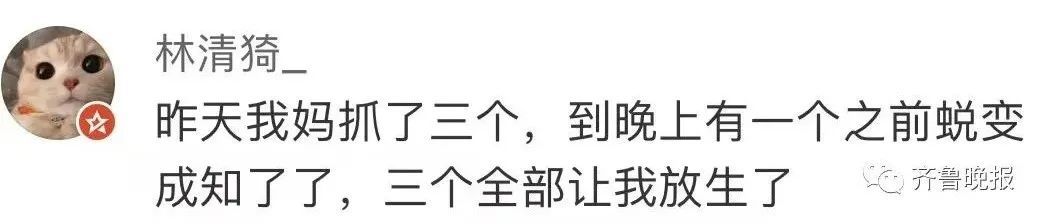 知了猴110元一斤，今年涨10-15元！网友：摸的人比知了猴还多
