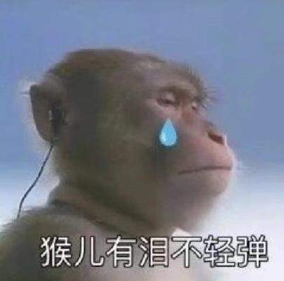 一夜之间“吗喽”占领了年轻人的生活圈 来自何方？
