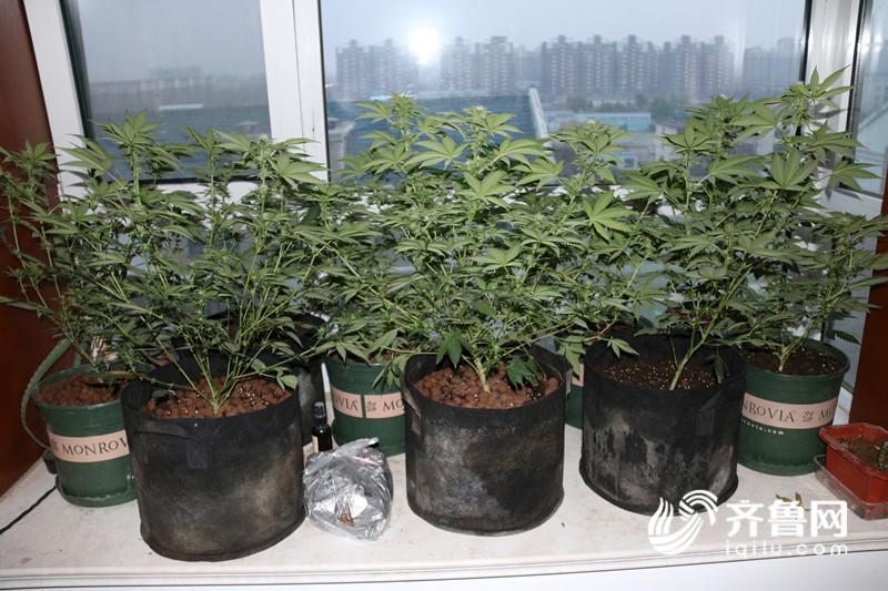  东营垦利破获特大网络贩毒案 交易全靠比特币