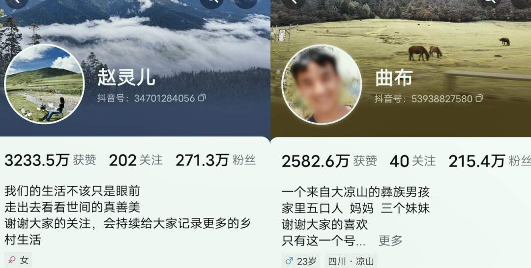 四川多名百万网红,被判刑!