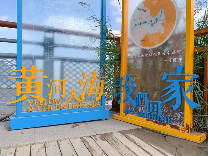 【在习近平新时代中国特色社会主义思想指引下】吸引更多生物来安家在黄河入海处看到“天然”