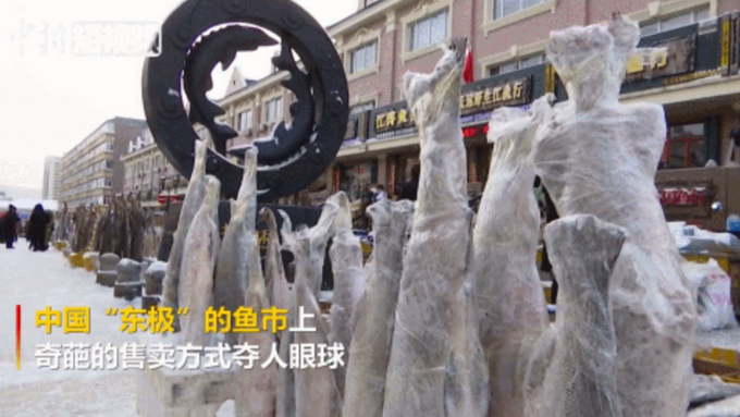 站着卖鱼的见过吗？就是鱼“站”着卖自己的那种，东北网友称正常