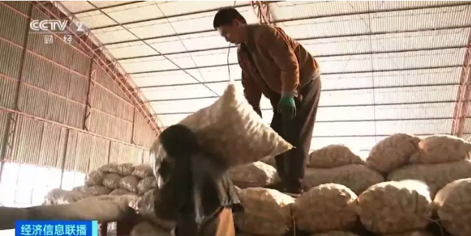 “蒜”你狠？新蒜价格坐“过山车” 爬上三年新高!