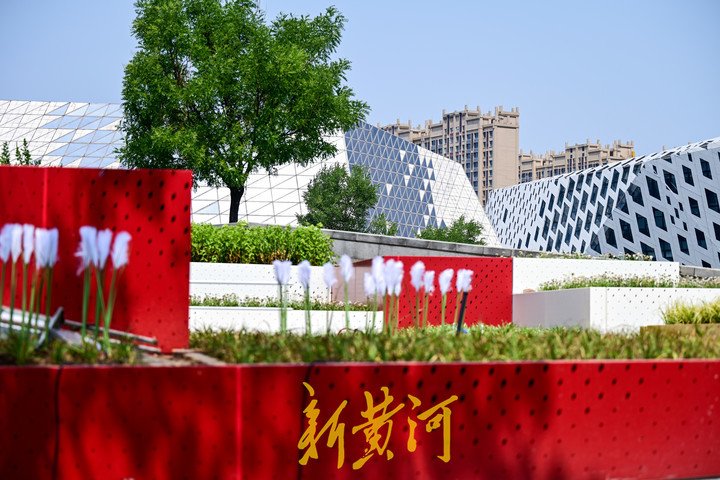 小土丘改造成艺术公园 与三馆融合成景