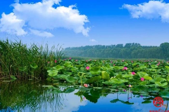 一湖一世界 一水一天堂——五一打卡，白云湖国家湿地公园等您来！