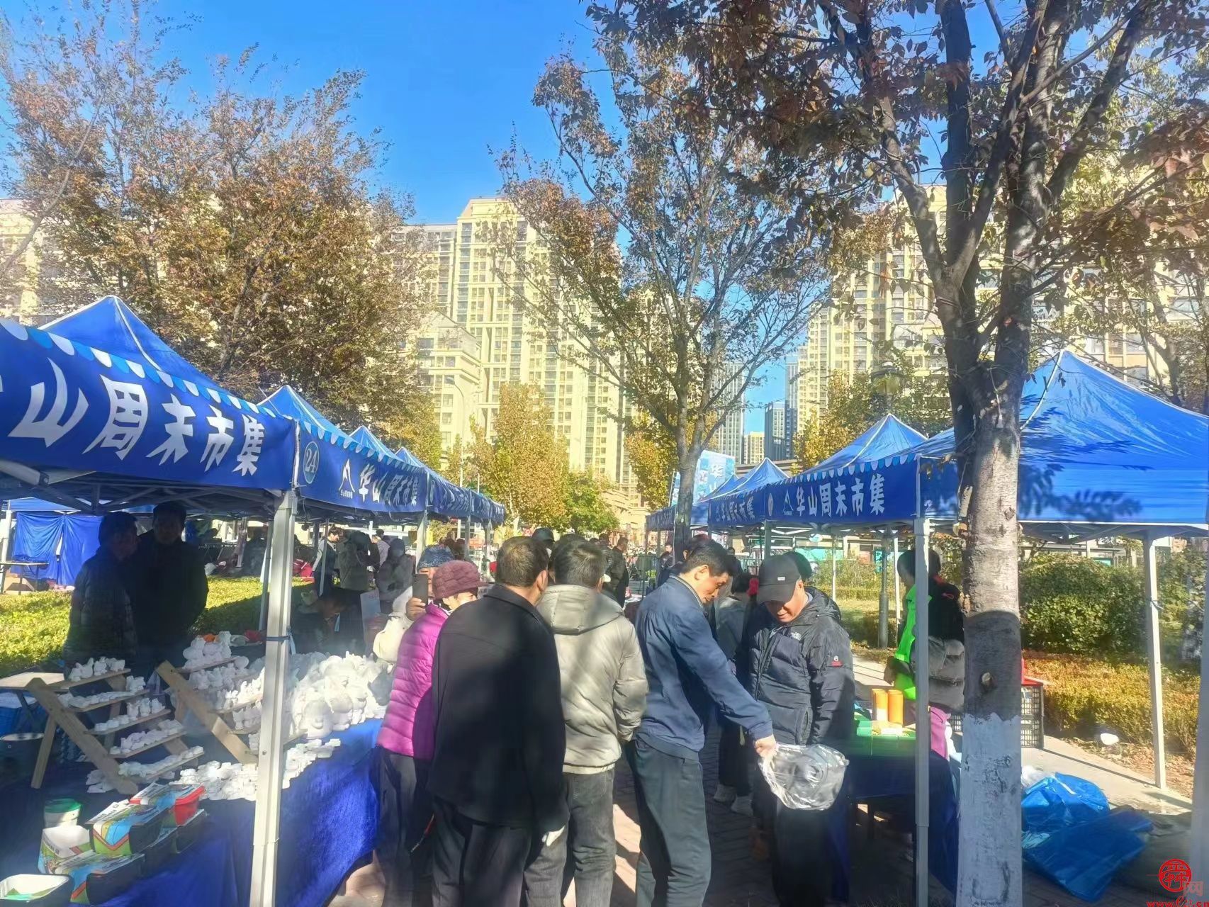每周末大“聚会” 济南华山市集已开市 一起来“摆摊”