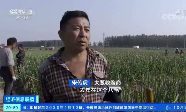 咋回事?山东大葱价格腰斩 