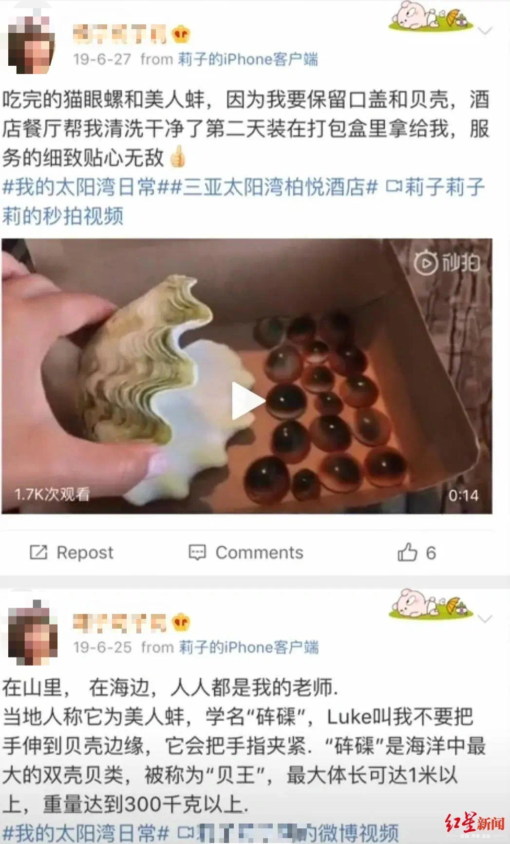 三亚一酒店非法捕捞国家保护动物砗磲？陈学冬社交媒体喊话，海南警方回应