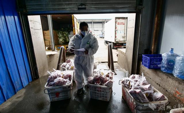 战疫“摆渡人”张林的十二时辰