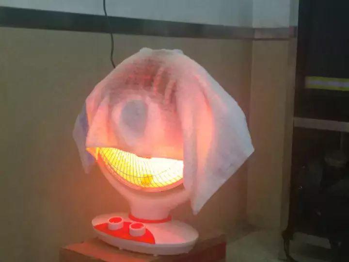 姐弟俩为何被烧伤，送进重症监护室？发生了什么事让两个孩子如此遭罪？