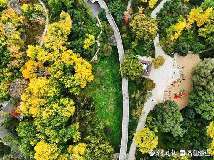 深秋时节泉城公园，色彩斑斓