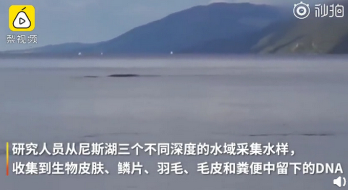 尼斯湖水怪可能真的存在？科学家采集湖底生物DNA