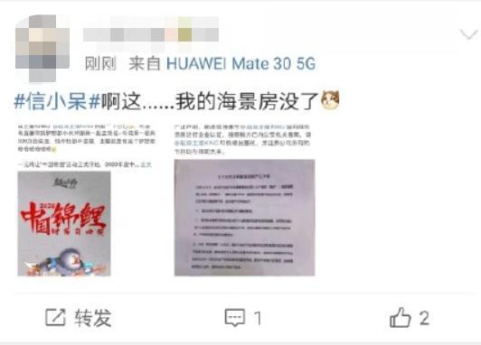 主播|“出道即翻车”？一元转让中国锦鲤是骗人的？信小呆致歉