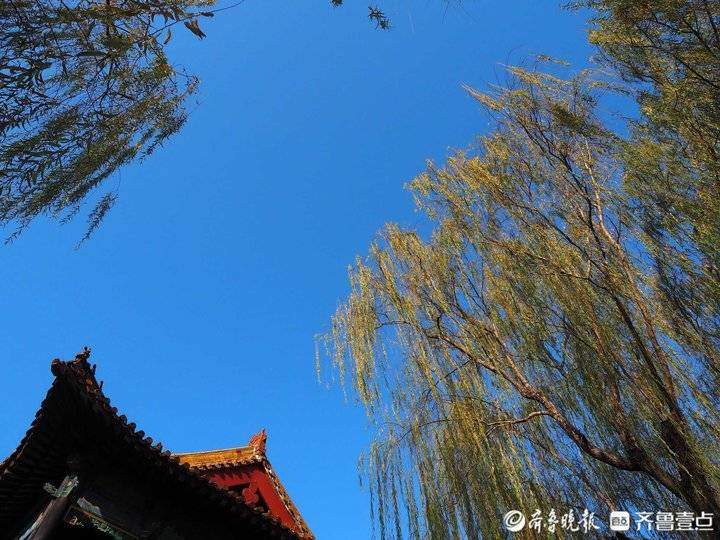 寒潮过后，济南的天“冷蓝冷蓝”