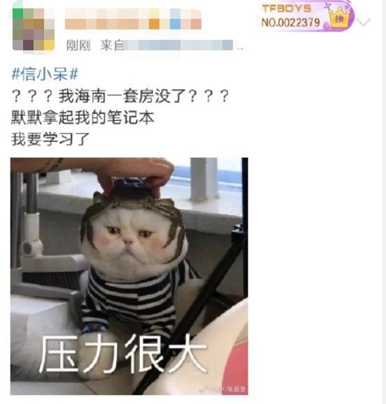 主播|“出道即翻车”？一元转让中国锦鲤是骗人的？信小呆致歉