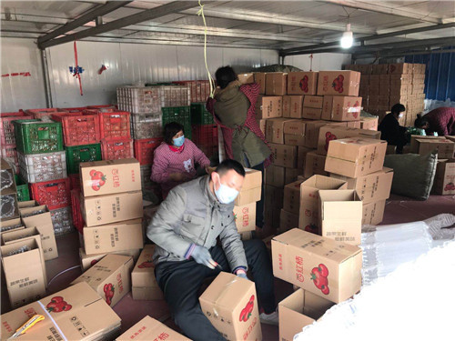 精选蔬菜线上卖