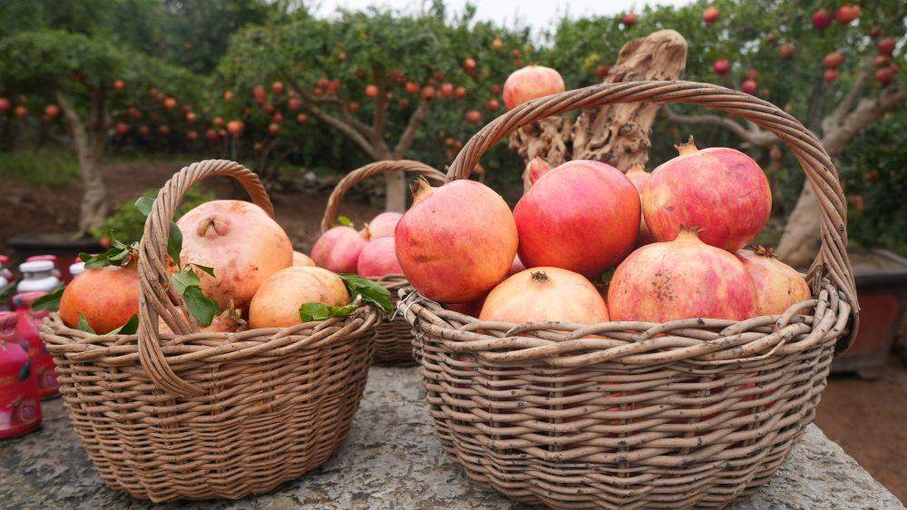 时政微观察丨奋进的中国