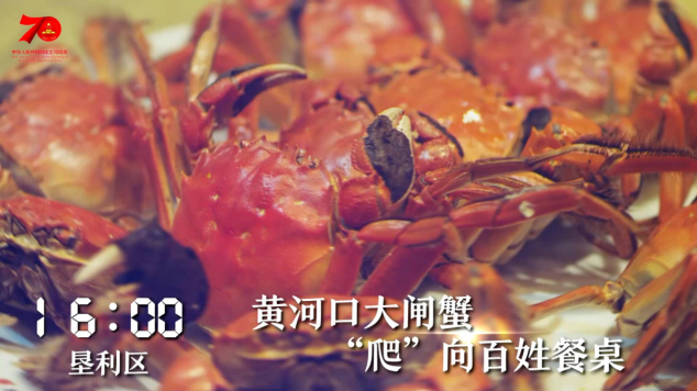 1天24小时，东营在发生什么……