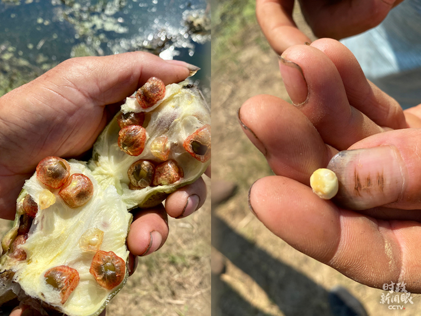 时政新闻眼丨安徽之行，习近平为何先看淮河？