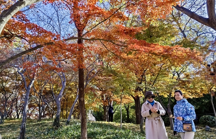 济南的冬天美翻了 泉城公园披上“花式冬装”