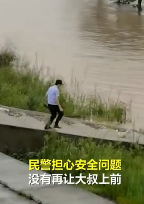 “狗妈妈冲入洪水救小狗”后续：目前被宠物店照顾，已有爱心人士收养