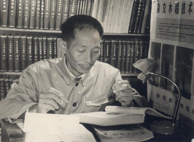 揭秘袁隆平杂交水稻论文原始手稿写了啥