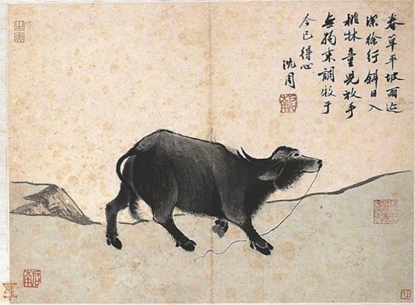 “丑牛”之年说说日语中那些与“牛”有关的俗语