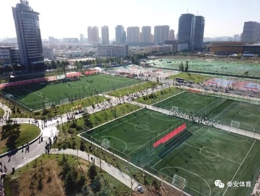 泰安市为新时代泰山“挑山工”颁奖！新时代泰山“挑山工”表扬大会召开