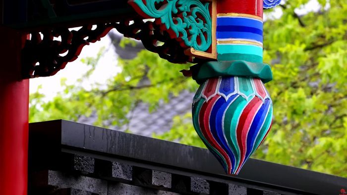 舜视频｜清明时节 杏花春雨 济南变成诗意之城