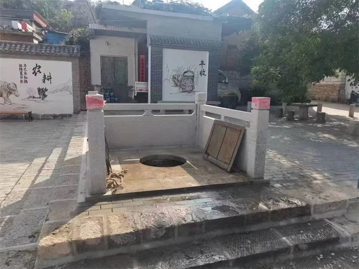 古槐、古皂荚、古榆、古银杏，2023年济南添20处“古树保护园”