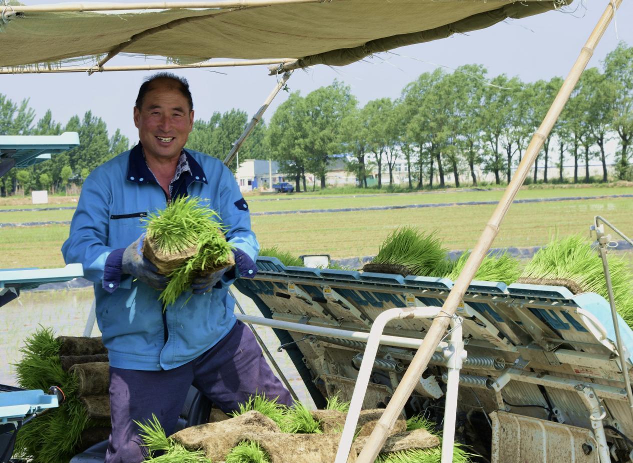 芒种时节，泉水人家的人儿已经“忙着种”啦！
