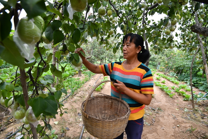 【花博看商河】花博会·线路 