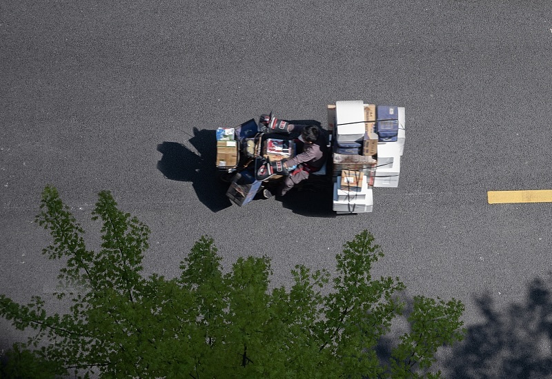 网购快递竟收到死亡小老虎，涉案两人获刑五年