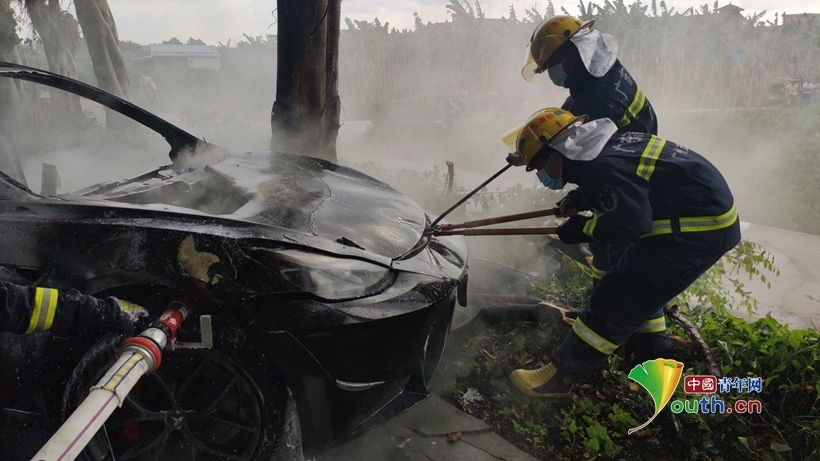 又双叒出事！广州：特斯拉撞树后起火 消防到场及时扑救