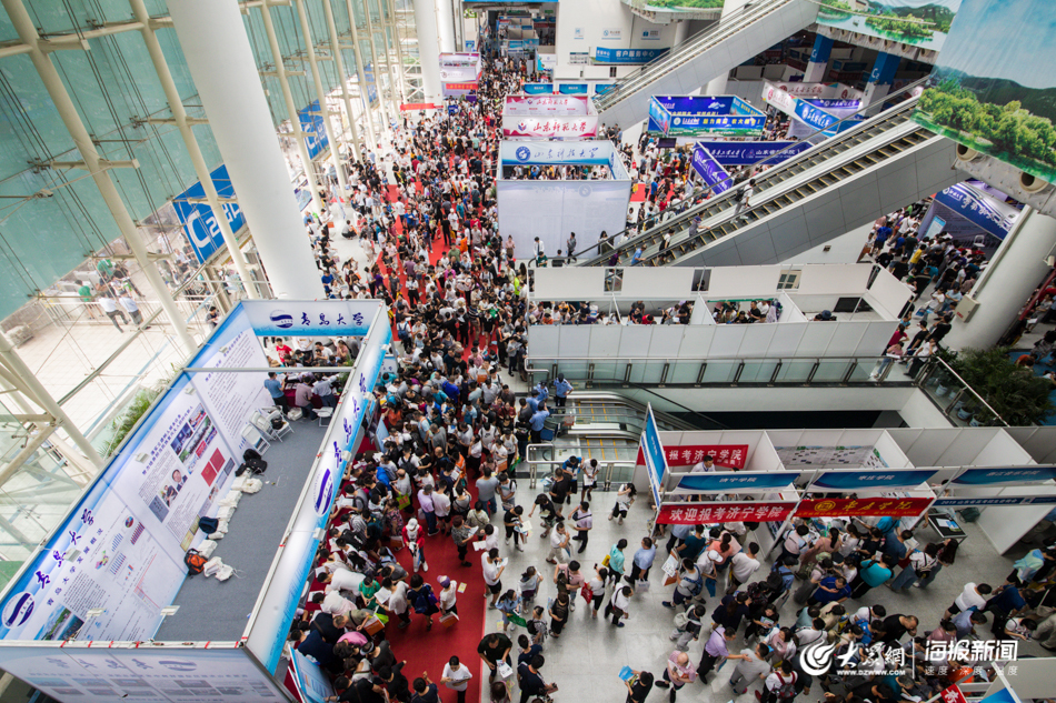 山东高考分数揭晓，“引爆”高考招生咨询会