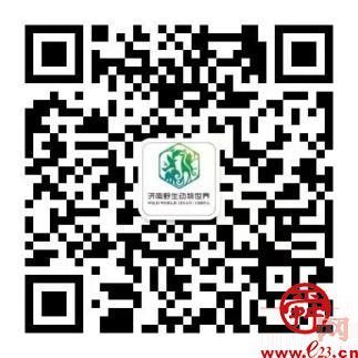 惠享济南文旅 畅游泉城新春济南文旅集团新年系列活动邀请市民游客欢天喜地过大年