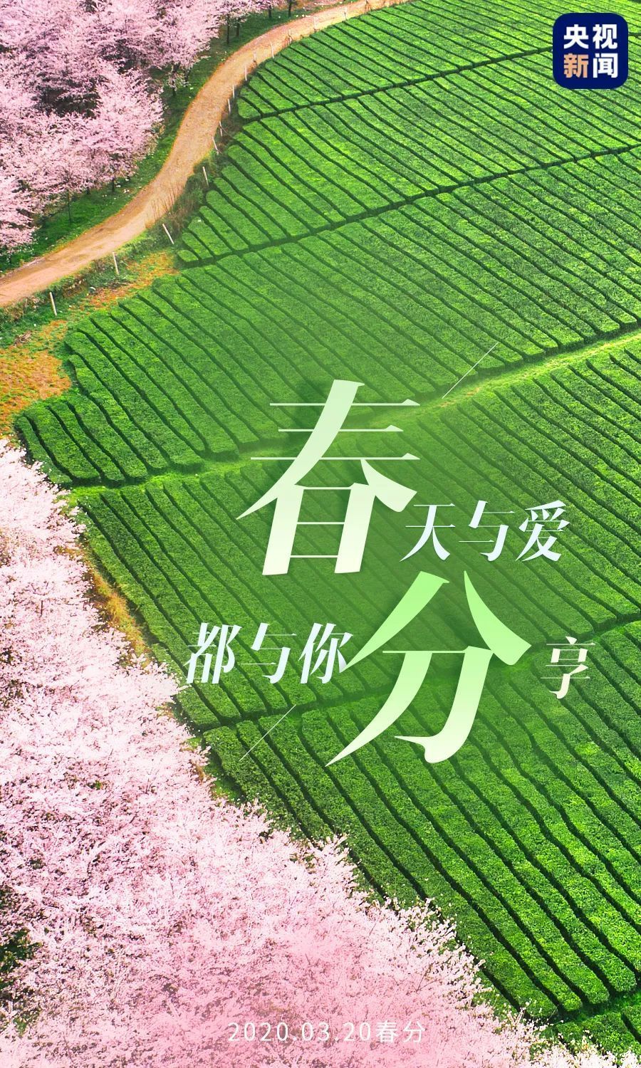 没有一个春天不会到来