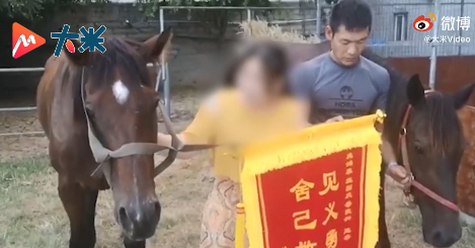 马主人回应下海救人两匹马去世|心疼哭了!马主人回应下海救人两匹马去世 网友:还以为能救好
