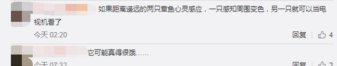 章鱼一边做梦一边变色！美科学家拍到罕见画面：或梦见自己吃螃蟹