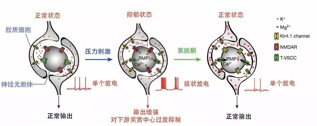 中国科学家胡海岚获颁2022年度“世界杰出女科学家奖”