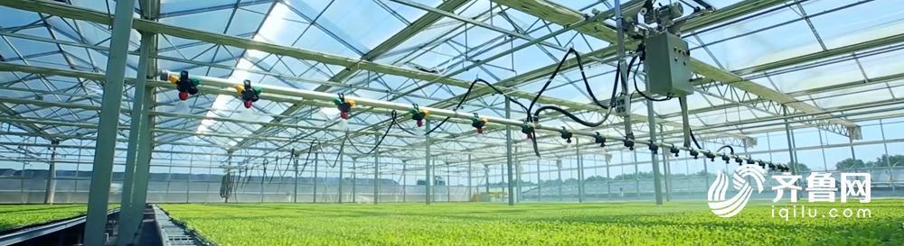 科技赋能产业，创新引领未来！十分钟认识新山东