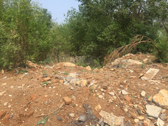 【啄木鸟在行动】经十路“临港南区”公交站南侧有渣土裸露